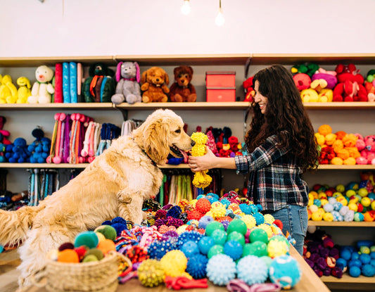 How to Be a Toy-Shopping Superstar for Your Pet