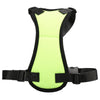 Car seat belts for pets