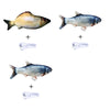Without Cat Nip Version - Electric Jumping Fish Simulation Electric Fish Toy