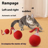 Interactive Cat Toy Ball Super Drive Cat Rolling Ball